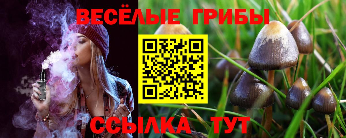 Ступино  Псилоцибиновые грибы Magic Shrooms  Вход с VPN 